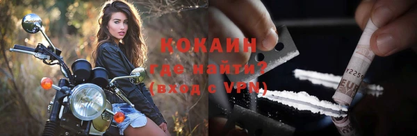дживик Алексин