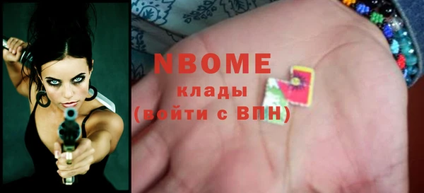 индика Алзамай