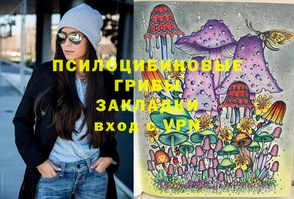 дживик Алексин