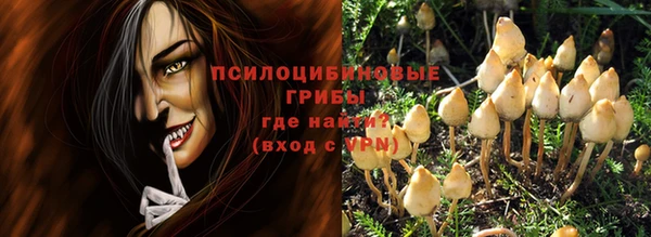индика Алзамай
