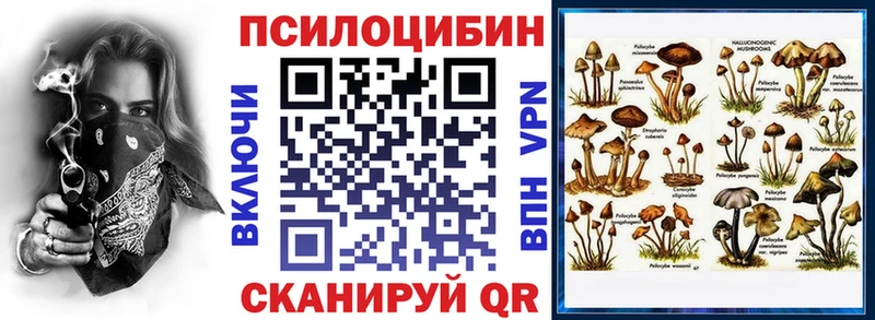 Галлюциногенные грибы GOLDEN TEACHER  закладки  Бикин 